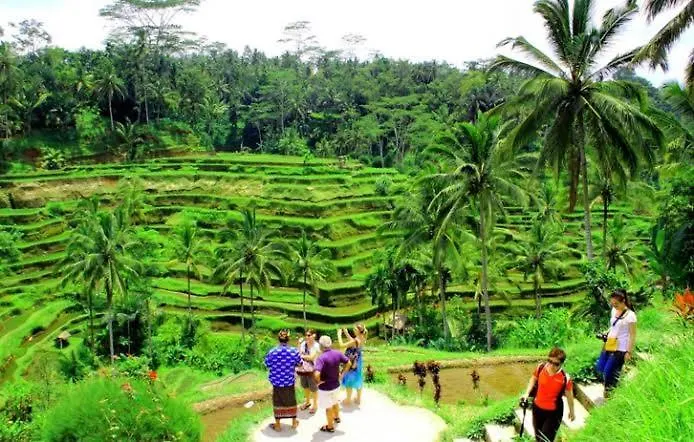 The Pyramid Ubud River Villa